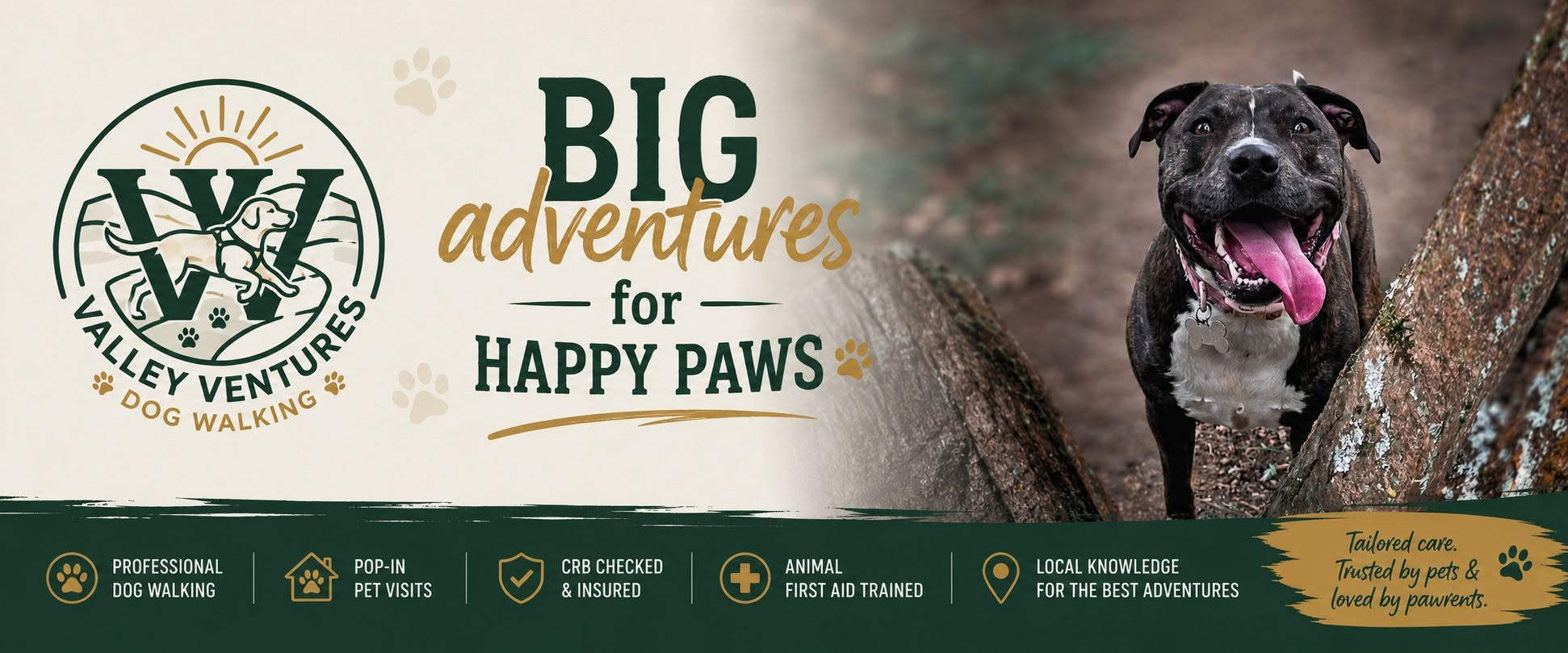 Valley Ventures Dog Walking — big adventures for happy paws